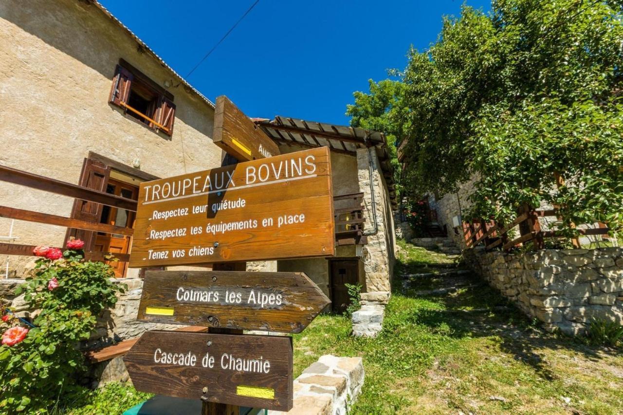 Studio Chaleureux A La Foux D'Allos Eksteriør billede