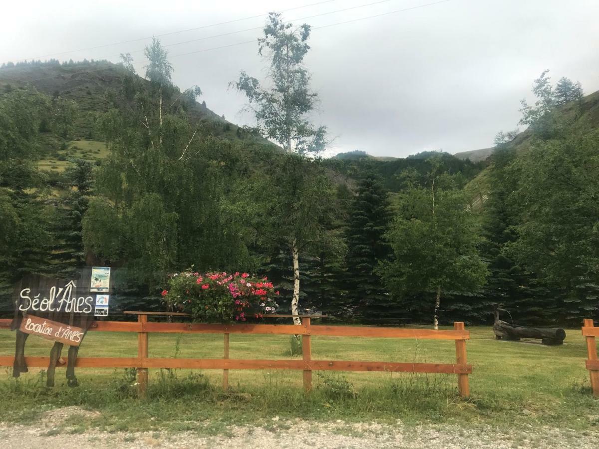 Studio Chaleureux A La Foux D'Allos Eksteriør billede
